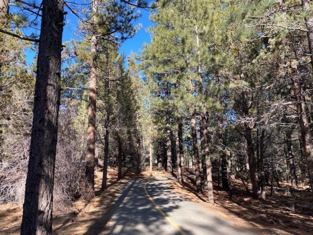 The Fox Paw Villa Big Bear Lake Exterior photo